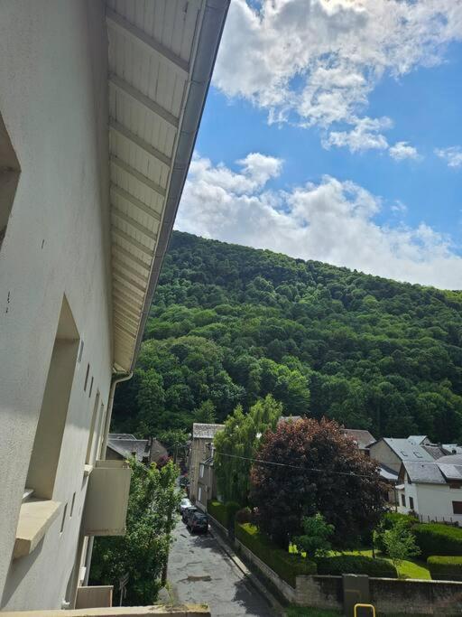 Chez Louise, Appartement T3 A Deux Pas Du Centre Bagneres-de-Luchon Экстерьер фото